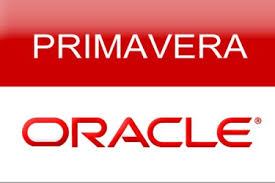 Primavera P6 – Planificación y Gestión de Proyectos - HELLEMAHOLLAND