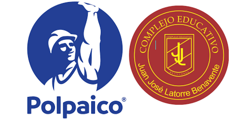 APLICACIÓN DE TÉCNICAS PARA USO DE MICROSOFT OFFICE BASICO (EXCEL, WORD Y POWER POINT) - POLPAICO - LICEO MEJILLONES